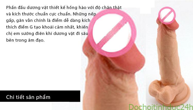 Dương Vật Giả Không Rung Giống Thật