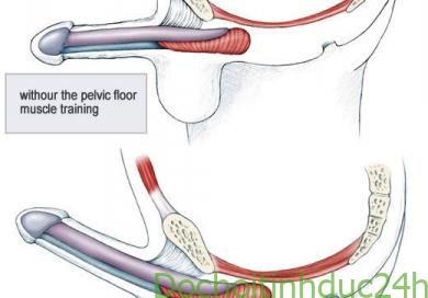 Cách Làm To Dương Vật Bằng Tay Và Máy Tập DV