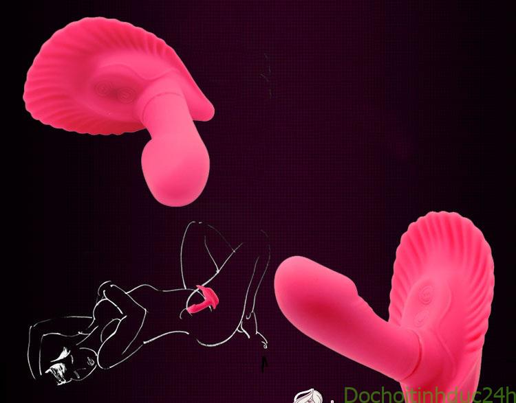 Trứng rung tình yêu vỏ sò