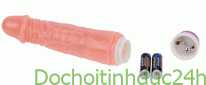 Dương vật giả 2 pin giá rẻ