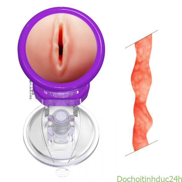 Cốc Thủ Dâm Gắn Tường Youcup Dream Girl 