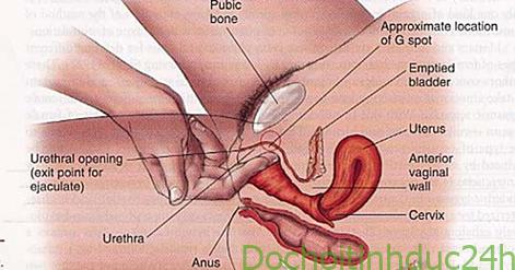 cách kích thích điểm G