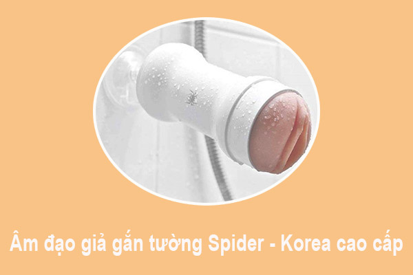 Âm đạo giả gắn tường Spider - Korea cao cấp
