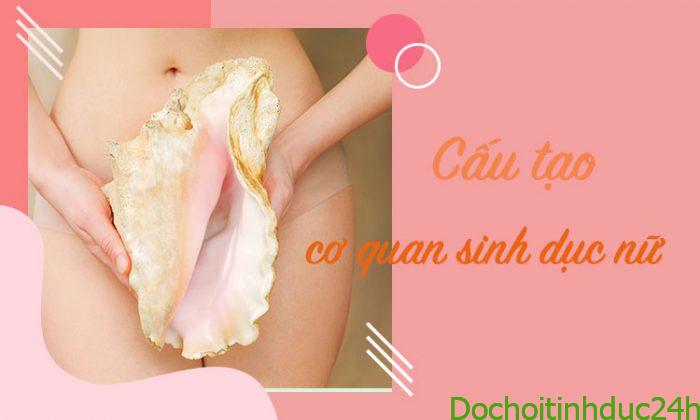 cau-tao-bo-phan-sinh-duc-nu